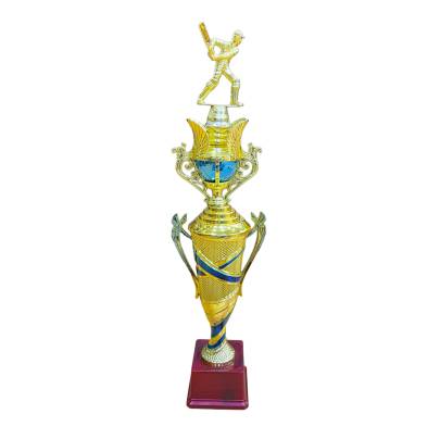 D2036/Sports Trophy/Cricket Winner Trophy/Premium Fiber Trophy