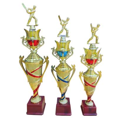 D2036/Sports Trophy/Cricket Winner Trophy/Premium Fiber Trophy