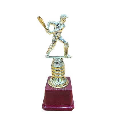 D3001 Premium Quality Fiber Batsman Trophy Cricket Trophy Best Batsman Trophy