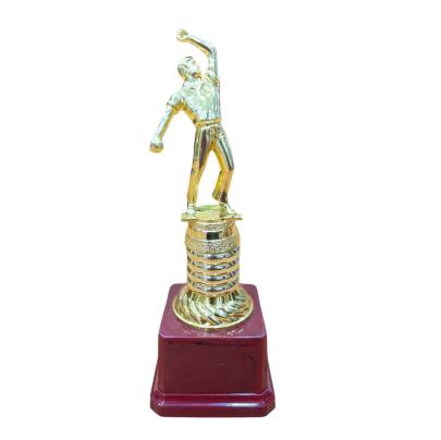 D3002 Premium Quality Fiber Bowler Trophy Cricket Trophy Best Bowler Trophy