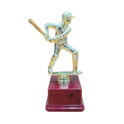 D3004 Premium Quality Fiber Batsman Trophy Cricket Trophy Best Batsman Trophy