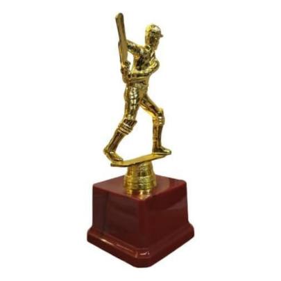 D3004 Premium Quality Fiber Batsman Trophy Cricket Trophy Best Batsman Trophy