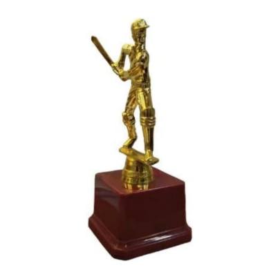 D3004 Premium Quality Fiber Batsman Trophy Cricket Trophy Best Batsman Trophy