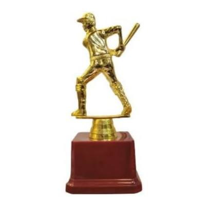 D3004 Premium Quality Fiber Batsman Trophy Cricket Trophy Best Batsman Trophy