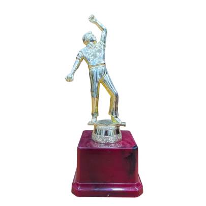 D3005 Premium Quality Fiber Bowler Trophy/ Cricket Trophy/ Best Bowler Trophy