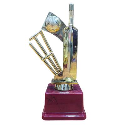 D3006 Premium Quality Fiber Fielder/Man of the Match/Series Trophy/ Cricket Trophy