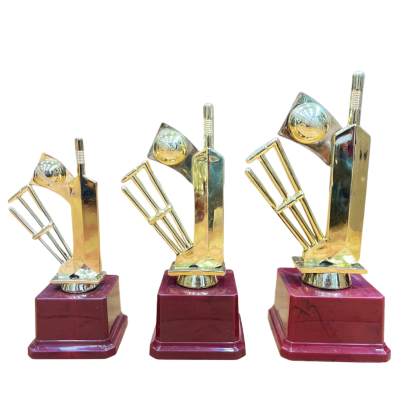 D3006 Premium Quality Fiber Fielder/Man of the Match/Series Trophy/ Cricket Trophy