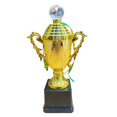 D305 Fiber Trophy With Crystal Cricket Trophy Multiple Sports Trophy