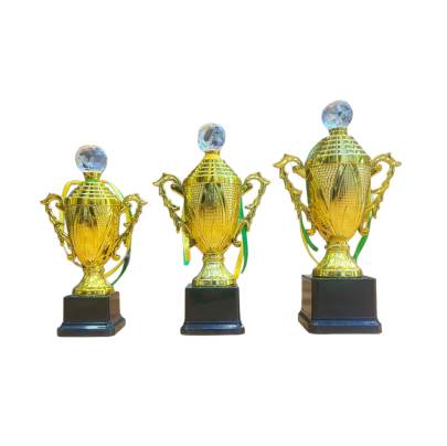 D305 Fiber Trophy With Crystal Cricket Trophy Multiple Sports Trophy