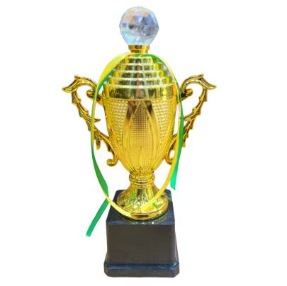 D305 Fiber Trophy With Crystal Cricket Trophy Multiple Sports Trophy