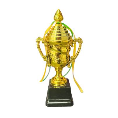 D306 Cricket Trophy /Sports trophy/ Fiber Trophy