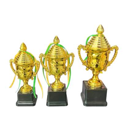 D306 Cricket Trophy /Sports trophy/ Fiber Trophy