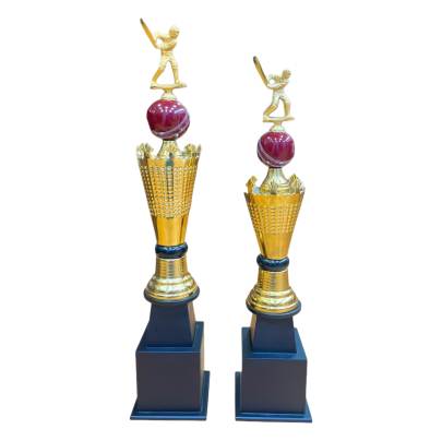 D316 Metal Premium Cricket Trophy