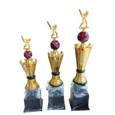 D316 Metal Premium Cricket Trophy