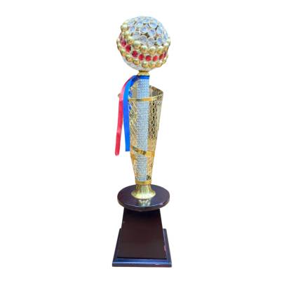  D381 premium Medal trophy/Golden Trophy With Crystal/Cricket Trophy/Corporate Trophy/