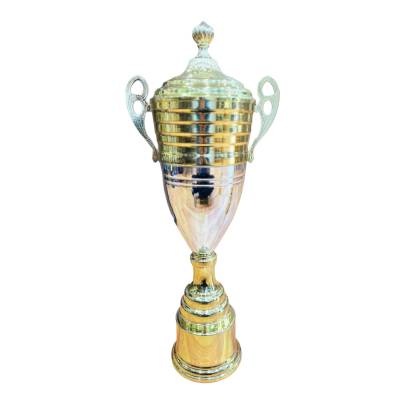 D627 premium Metal Trophy/Sports Trophy/Cricket Trophy/Golden trophy/Corporate trophy