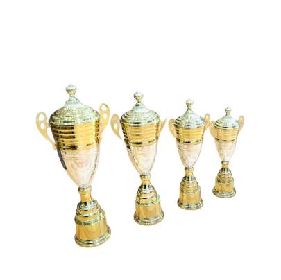 D627 premium Metal Trophy/Sports Trophy/Cricket Trophy/Golden trophy/Corporate trophy