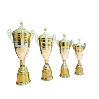 D627 premium Metal Trophy/Sports Trophy/Cricket Trophy/Golden trophy/Corporate trophy