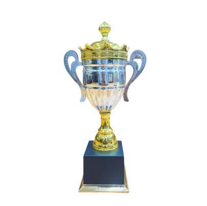  D634 Metal Trophy/corporate Trophy/cricket trophy/Wooden Base Premium Trophy