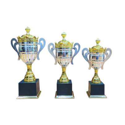 D634 Metal Trophy/corporate Trophy/cricket trophy/Wooden Base Premium Trophy