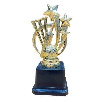 D767 Cricket Trophy/Batsman Trophy/Premium Fiber Trophy With Heavy Fiber Base