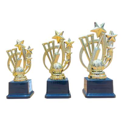 D767 Cricket Trophy/Batsman Trophy/Premium Fiber Trophy With Heavy Fiber Base