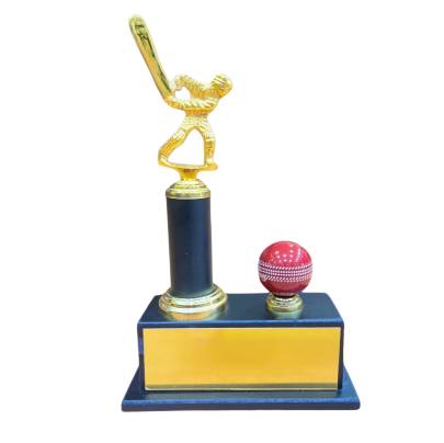  D7877 Cricket trophy/Bats man trophy/Man of Series Trophy/Metal Trophy With Wooden Base/Premium Trophy