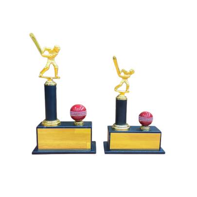 D7877 Cricket trophy/Bats man trophy/Man of Series Trophy/Metal Trophy With Wooden Base/Premium Trophy