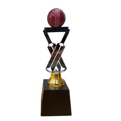 Double bat Trophy/Cricket Tournament Trophy/Corporate Cricket Trophy/Premium Fiber Trophy