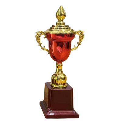 Golden Red Cup trophy/Cup Trophy/Cricket Tournament Trophy/Corporate Cricket Trophy/Premium Fiber Trophy