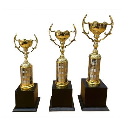 Half Deluxe Cup trophy/Cup trophy/Premium Metal and Fiber trophy/Corporate Trophy/Cricket Tournament trophy