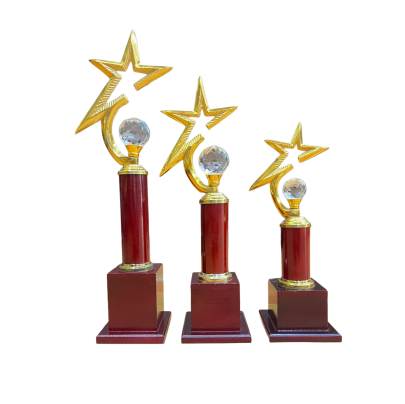 Half star Trophy/Premium Quality Metal Trophy/Corporate Trophy/Crystal Trophy/Sports Trophy