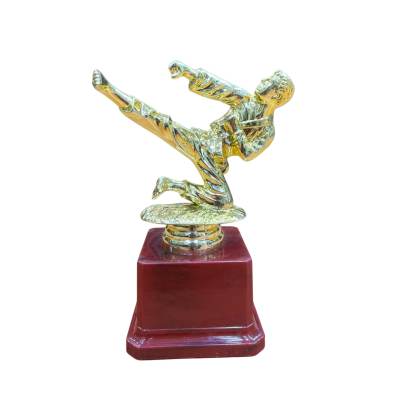 Karate Kick Trophy/Taekwondo Judo Karate Trophy 