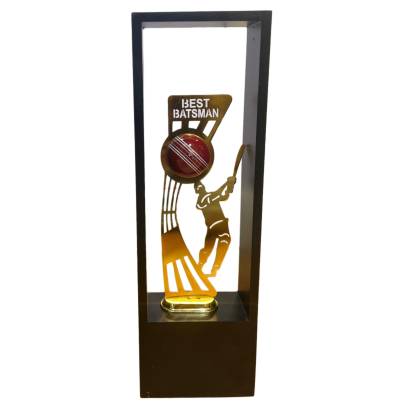 New Best Batsman/Cricket Tournament Trophy/Corporate Cricket Trophy/Premium Fiber Trophy