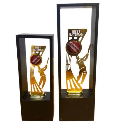 New Best Batsman/Cricket Tournament Trophy/Corporate Cricket Trophy/Premium Fiber Trophy
