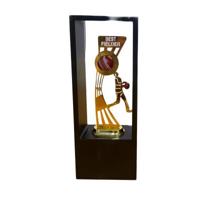 New Best Fielder/Cricket Tournament Trophy/Corporate Cricket Trophy/Premium Fiber Trophy