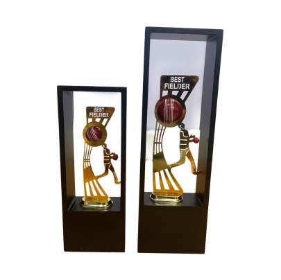 New Best Fielder/Cricket Tournament Trophy/Corporate Cricket Trophy/Premium Fiber Trophy