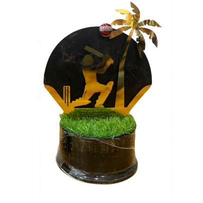 Trophy Cricket Khajoor Design Cricket Tournament Trophy Corporate Cricket Trophy Premium metal Trophy