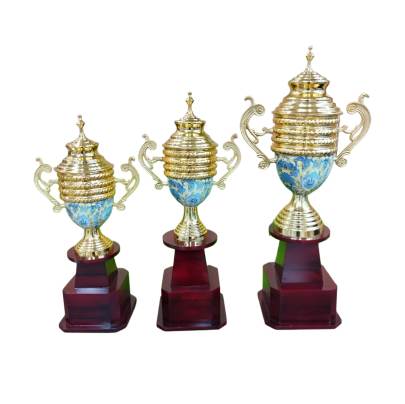 Trophy Cup Blue/Premium Metal Trophy/Sports Trophy/Corporate Trophy