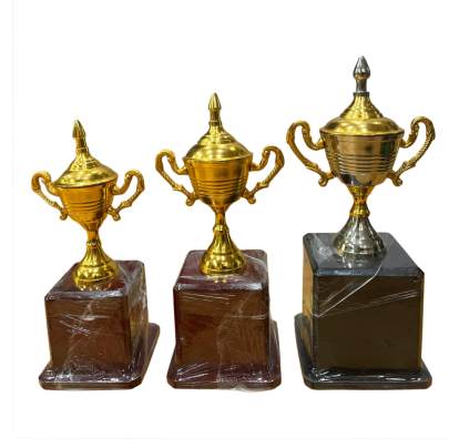 Trophy Cup Dora/Cup Trophy/Cricket Tournament Trophy/Corporate Cricket Trophy/Premium Metal Trophy