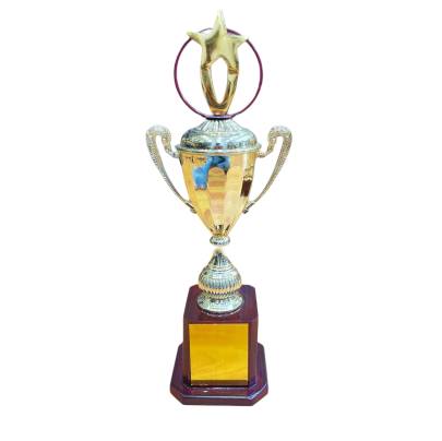 Trophy Star Cup/Cricket Trophy/Sports Trophy