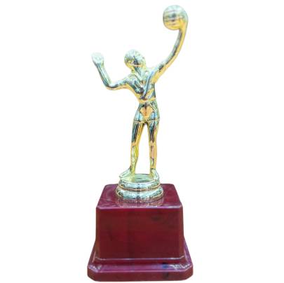 Volleyball Tournaments/ School Games & Other Volleyball Events Golden & Fiber Sports Trophy