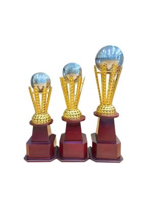 World cup/Premium Quality Metal Trophy/Sports Trophy